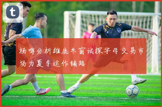 杨鸣分析雄鹿冬窗试探字母交易市场为夏季运作铺路